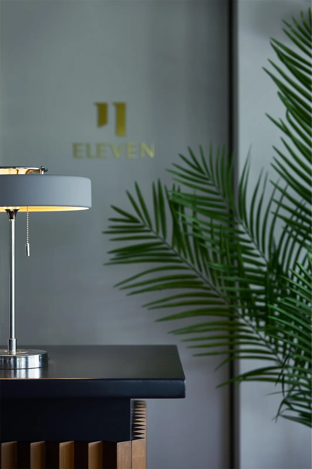 ELEVEN-image