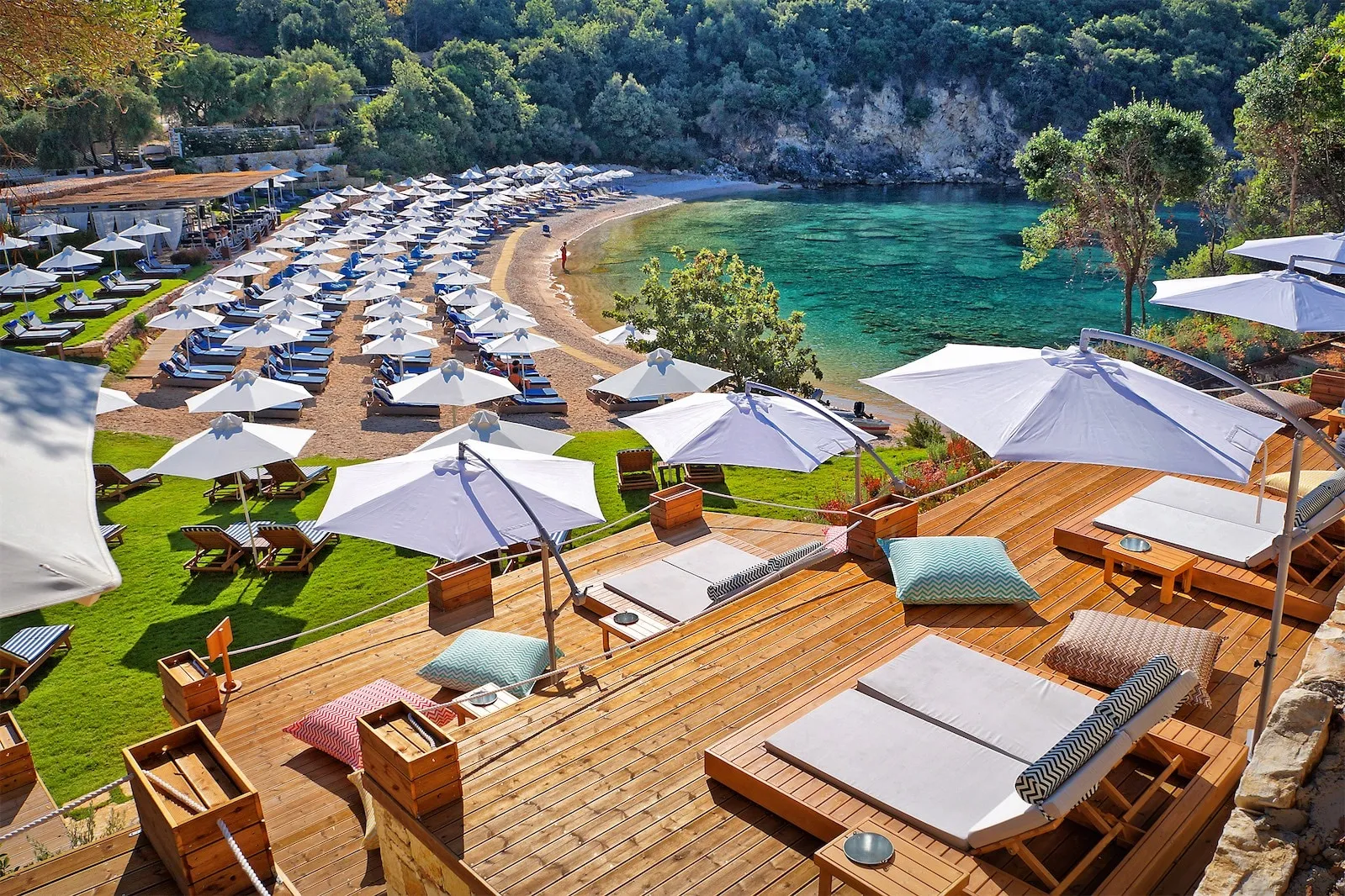 project-MIKRI AMMOS-image