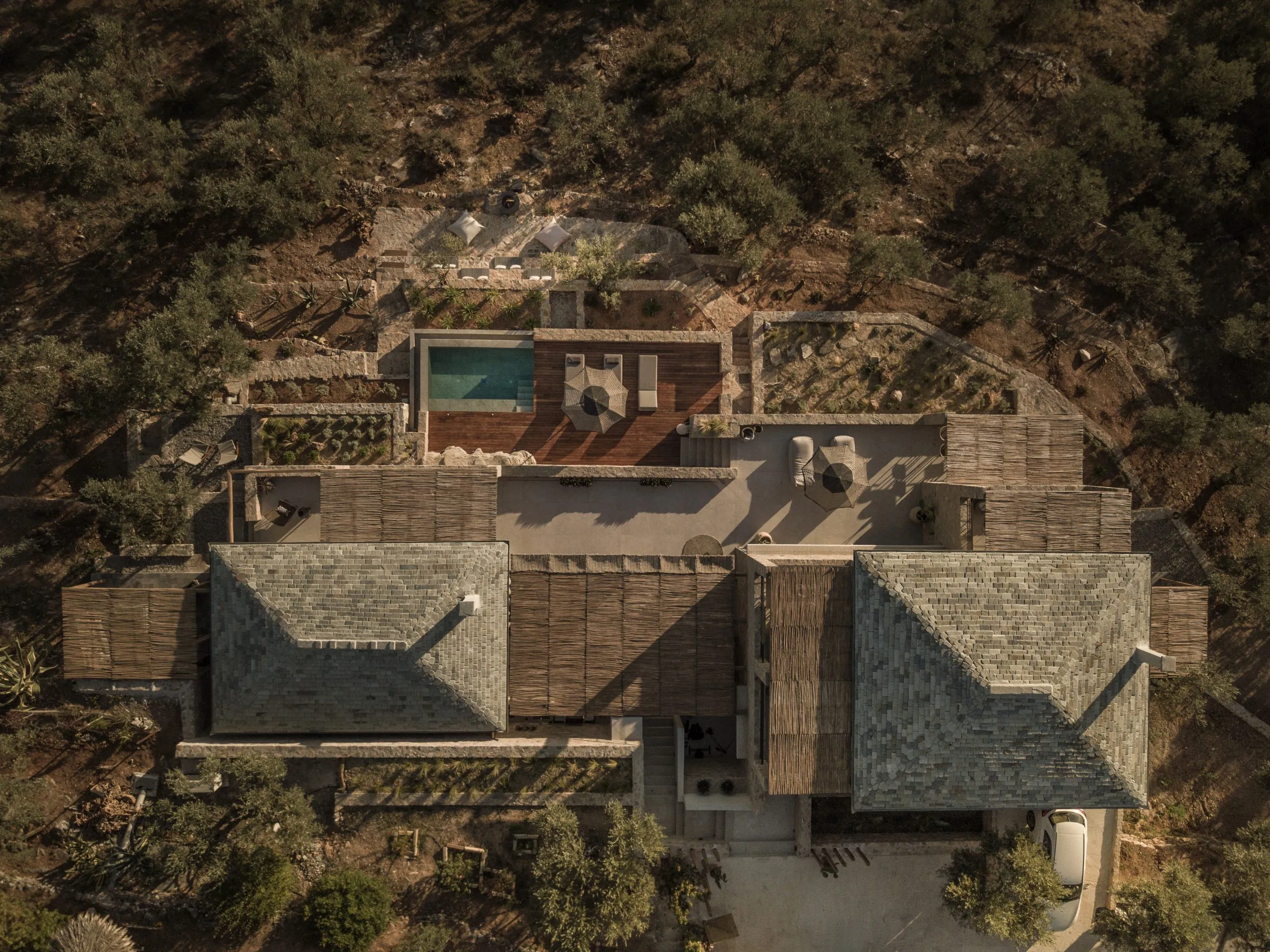 Peliva suites-image